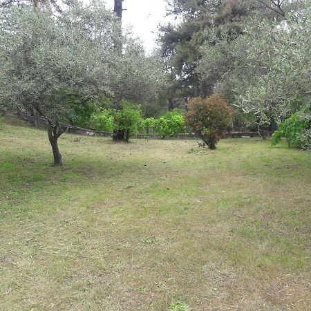 Villa Leo Glykadi Exteriér fotografie