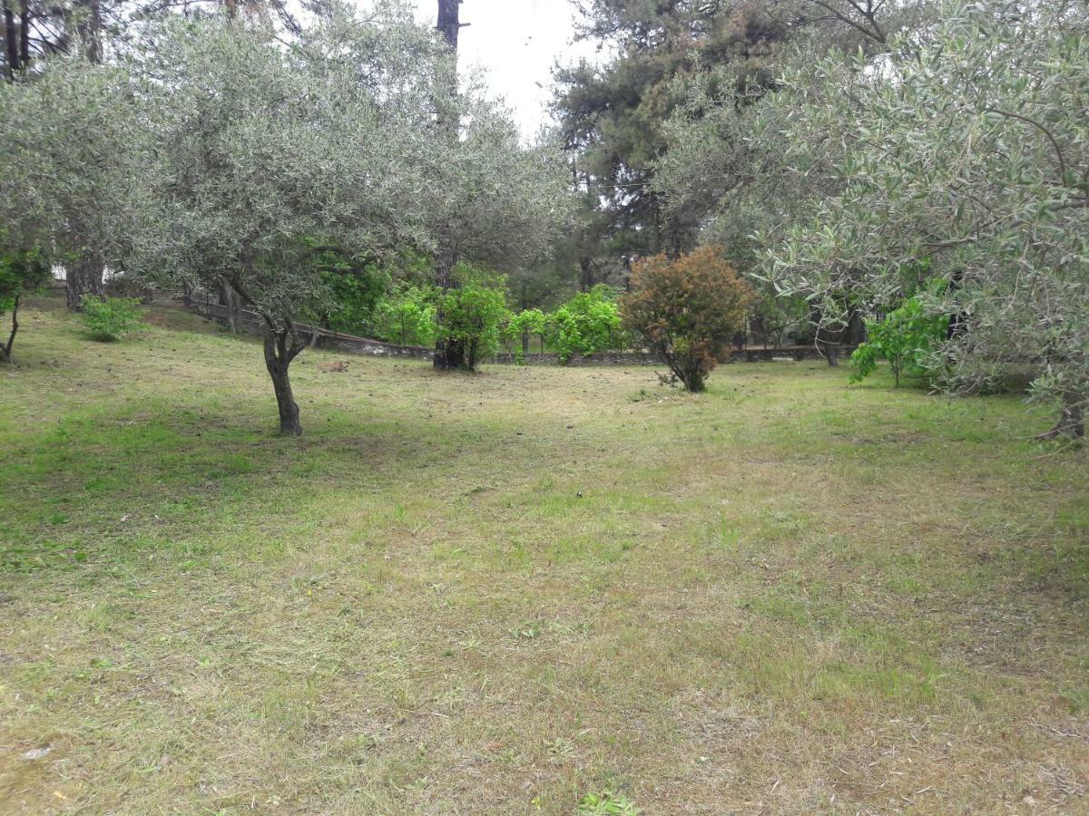 Villa Leo Glykadi Exteriér fotografie
